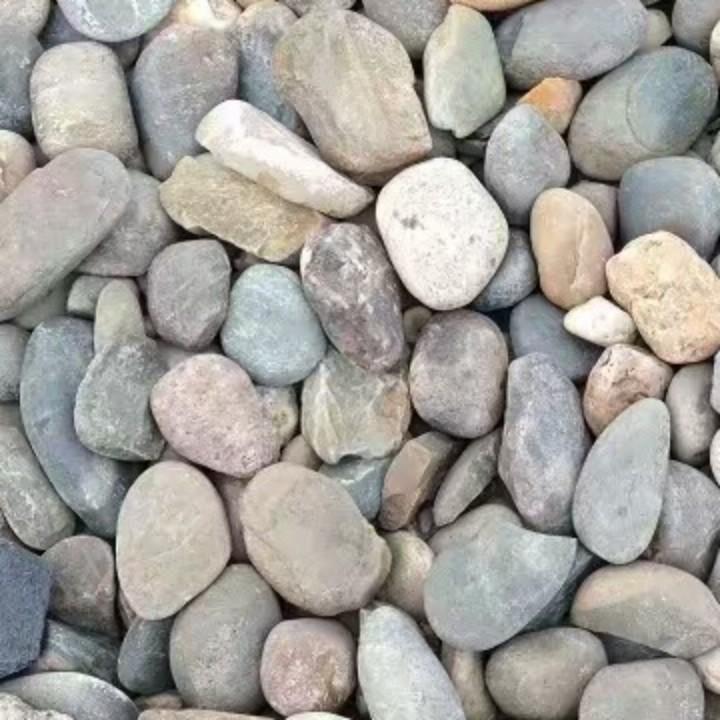 《单行道》