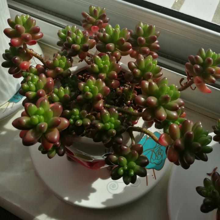 随拍