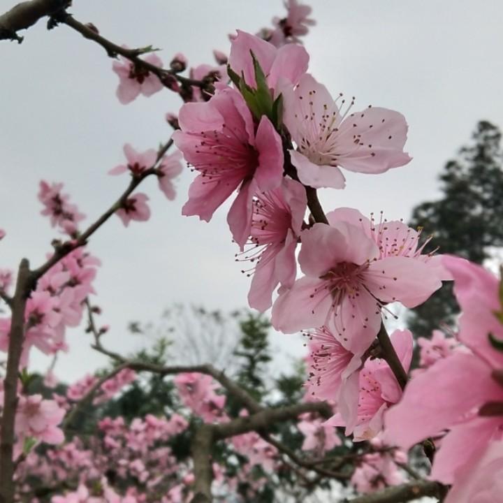 萌萌哒♬