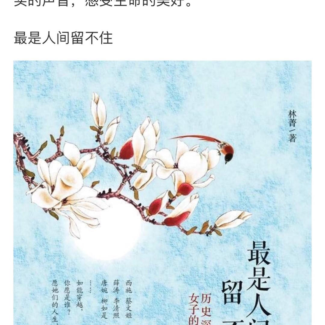 清荷