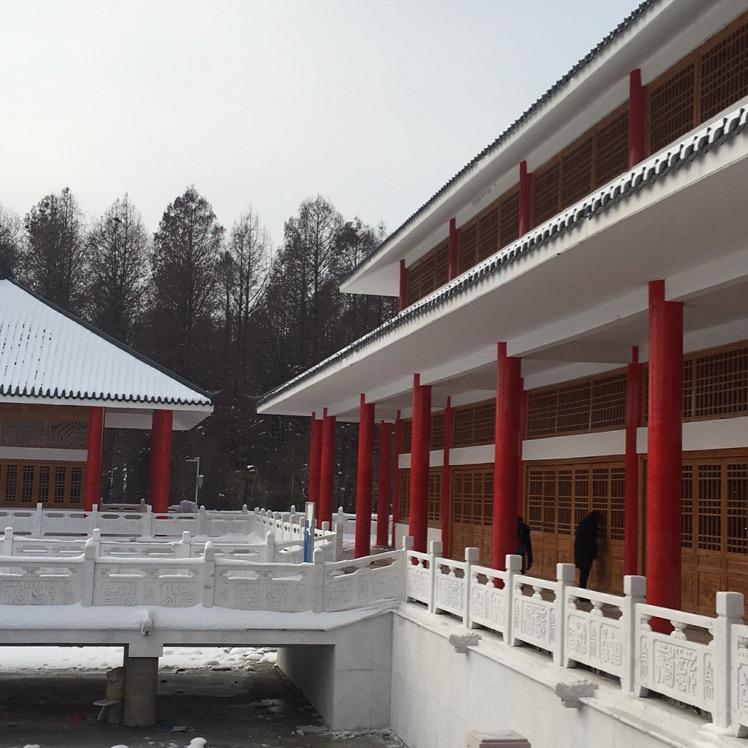 青龙战士O