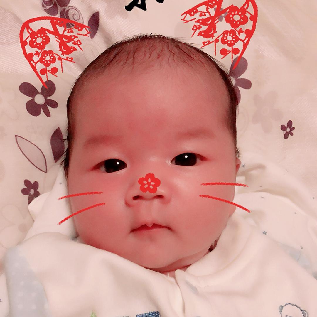 橙子