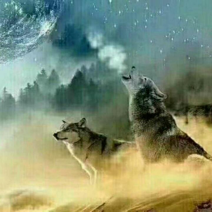 醉君蓝