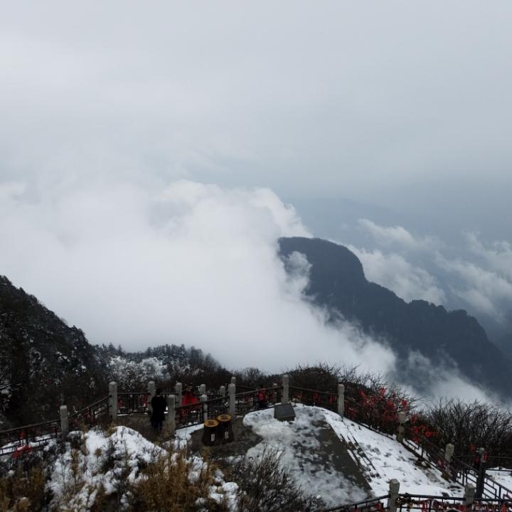 古月