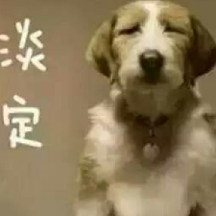 想飞的鱼
