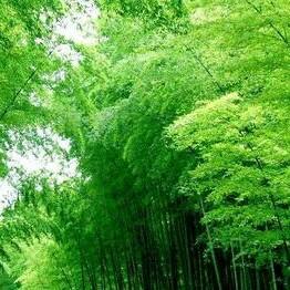 林军