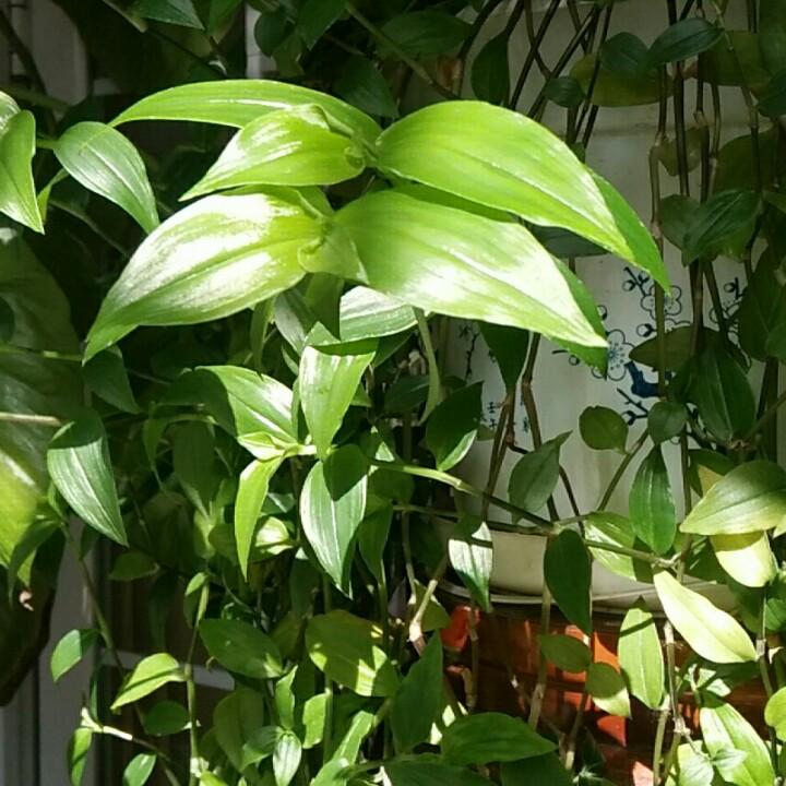 北京诗美馨芳科技有限公司海淀分公司