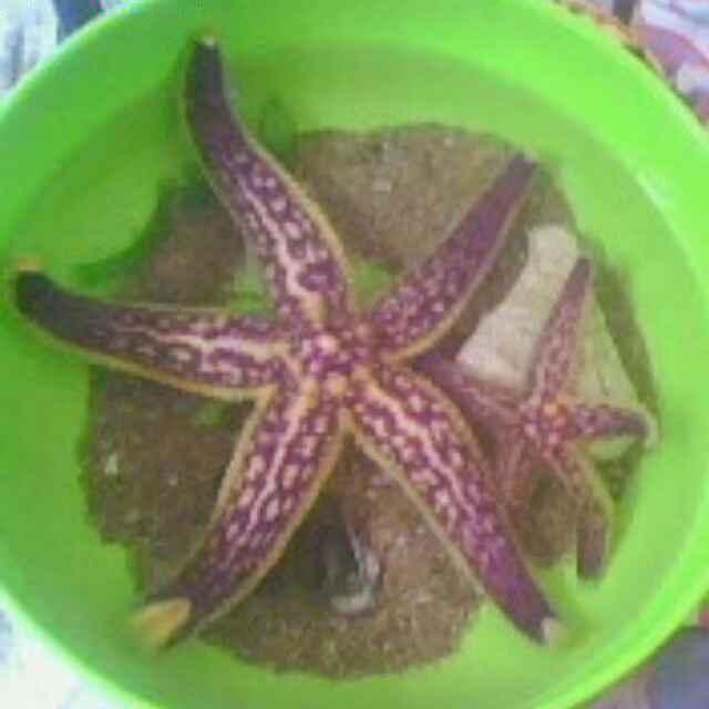选择