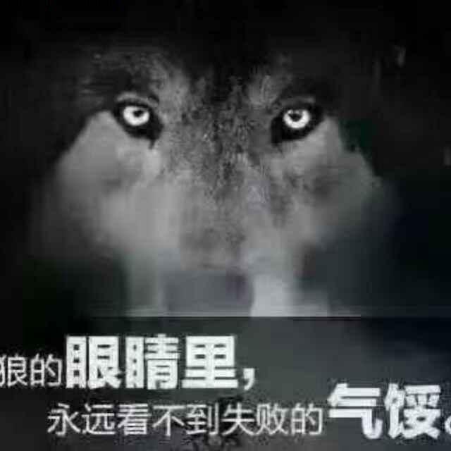 聚缘工程机械租赁，羚羚家庭农场