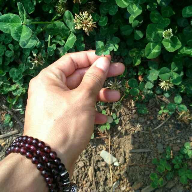 ༺༃ঌ𓆩誓♡言𓆪໒༃༻