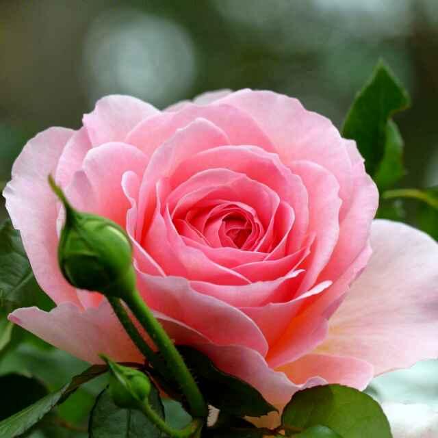 🌈晴天🌷