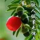超哥55444