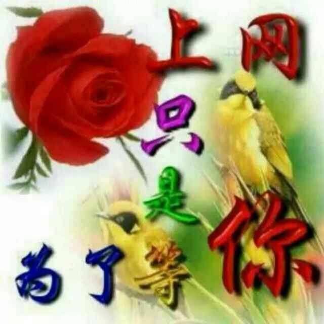 江珊