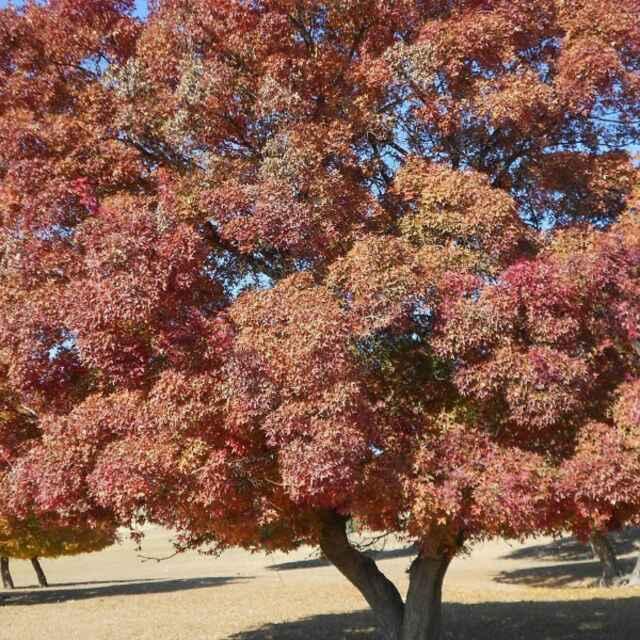 凯元体彩_2304439