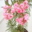 唯诺传媒@人情冷暖4697