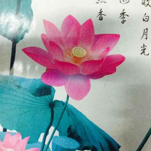 荷塘清趣_