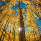 哈密瓜之乡兵团103