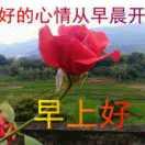 guo夜猫子