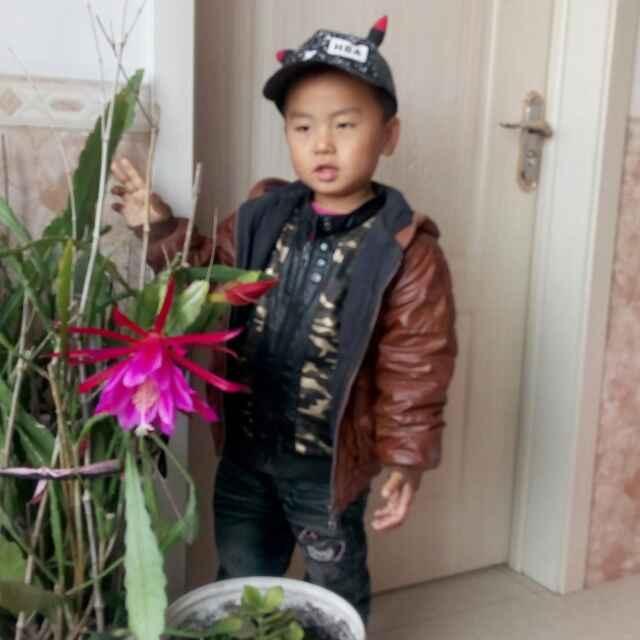 晓荣\_lfxm
