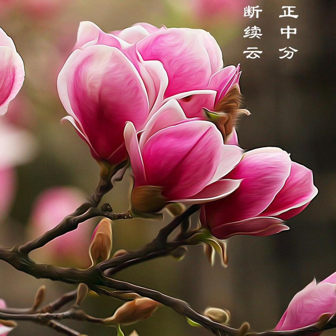爱宝贝_219409