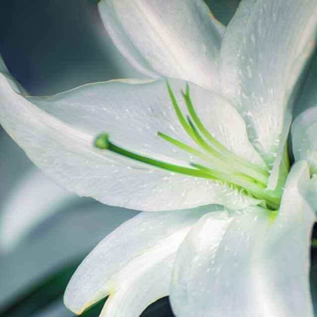 妞🌺