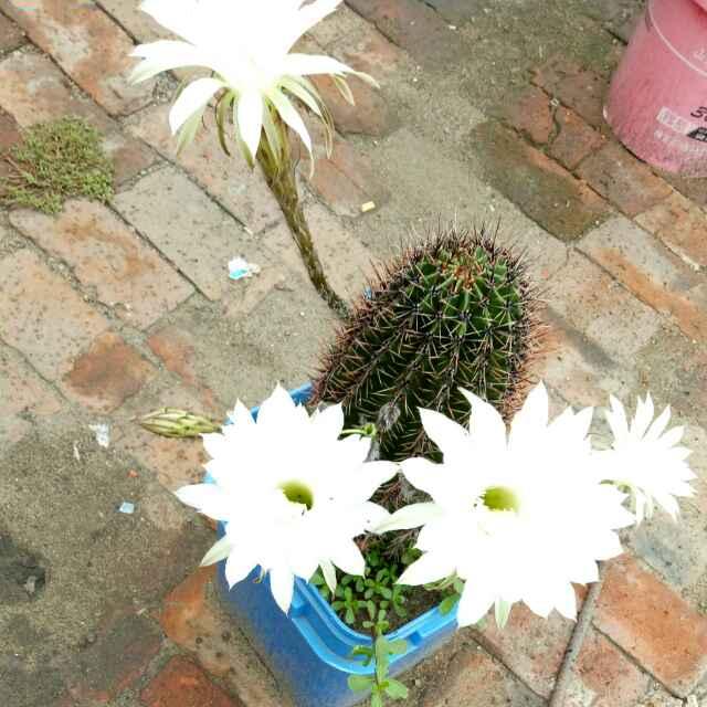 天天开心；；