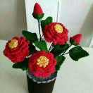 🥀এ᭄酒醉的ꦿ蝴🦋蝶ོ࿐ᩚ