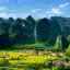 泰山没去过