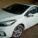 飞翔的雄鹰13102