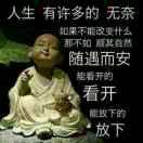 东郭先生1609