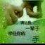 人生就像落叶myb9