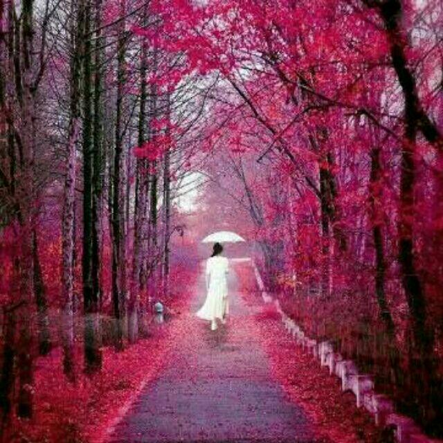 只因有你在🌸为你开