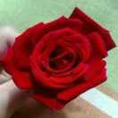 因为有缘我们相遇