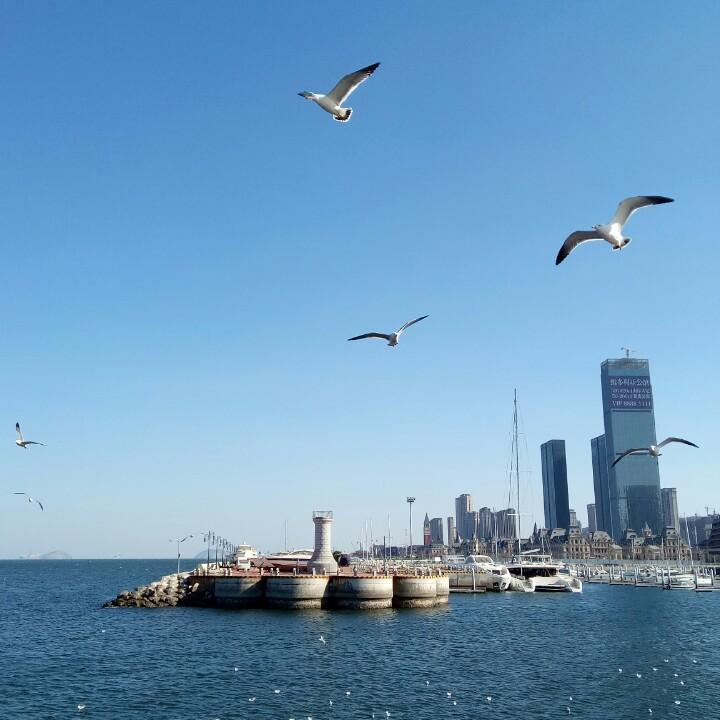 泰山飞鸿