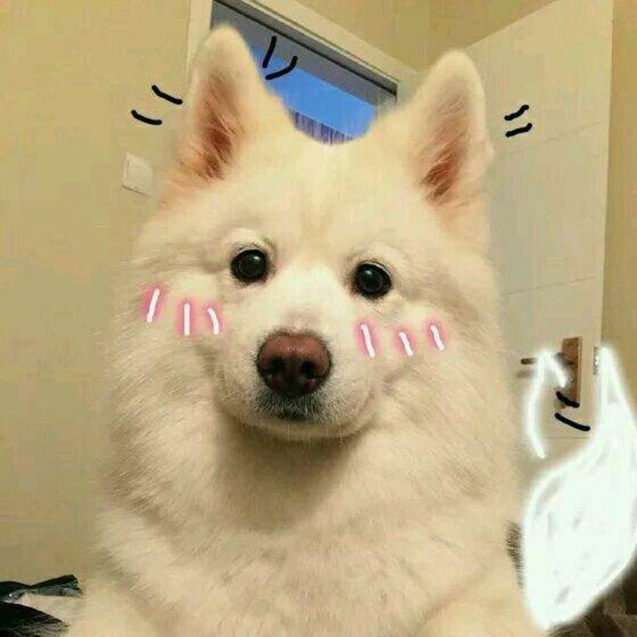 小默
