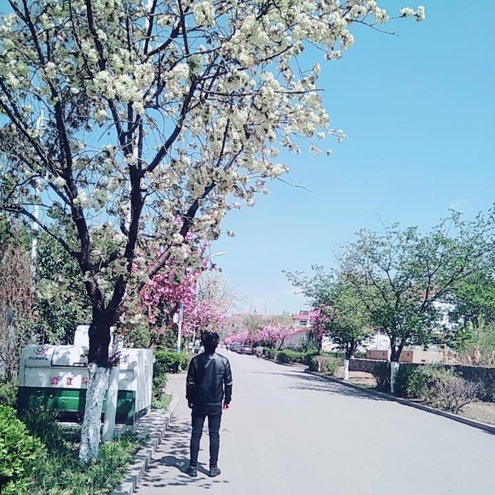 物是人非事事休