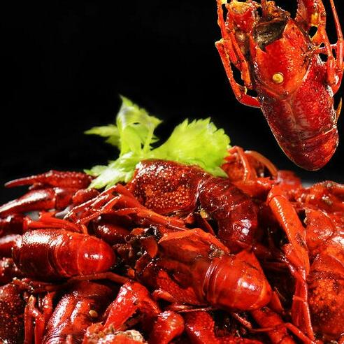 冬钓🐠夏烧🦞
