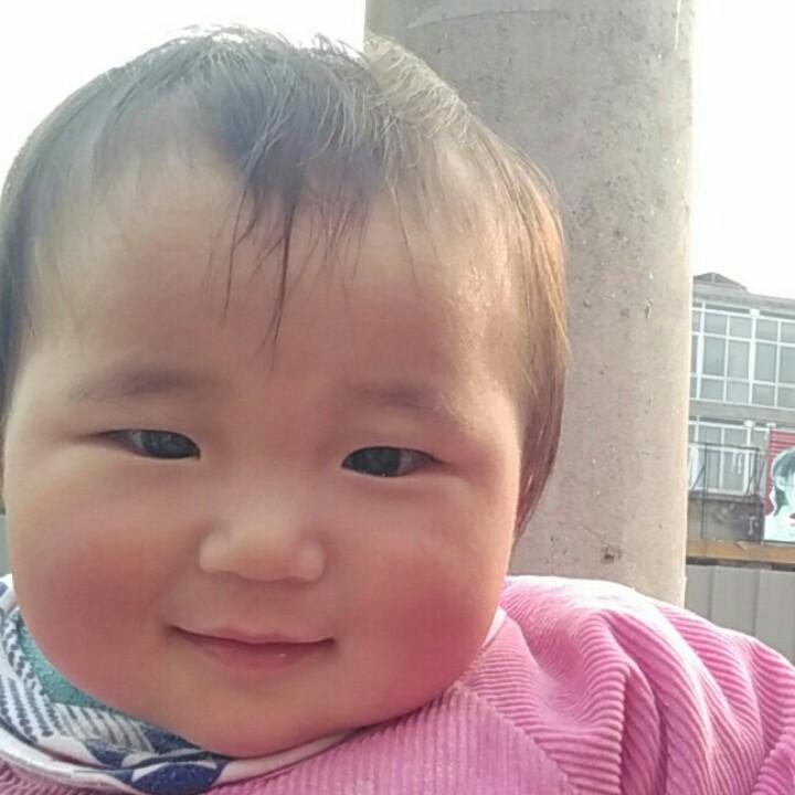 滑县隆泰鸡、鸭冻品  广强
