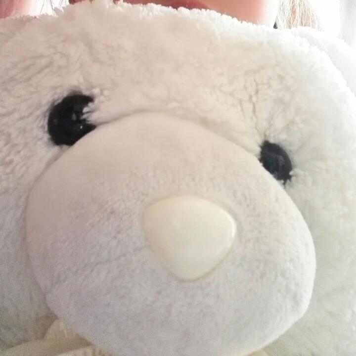 初中数学晓荷老师