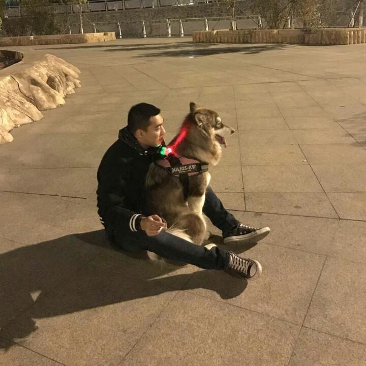 陈焱荻