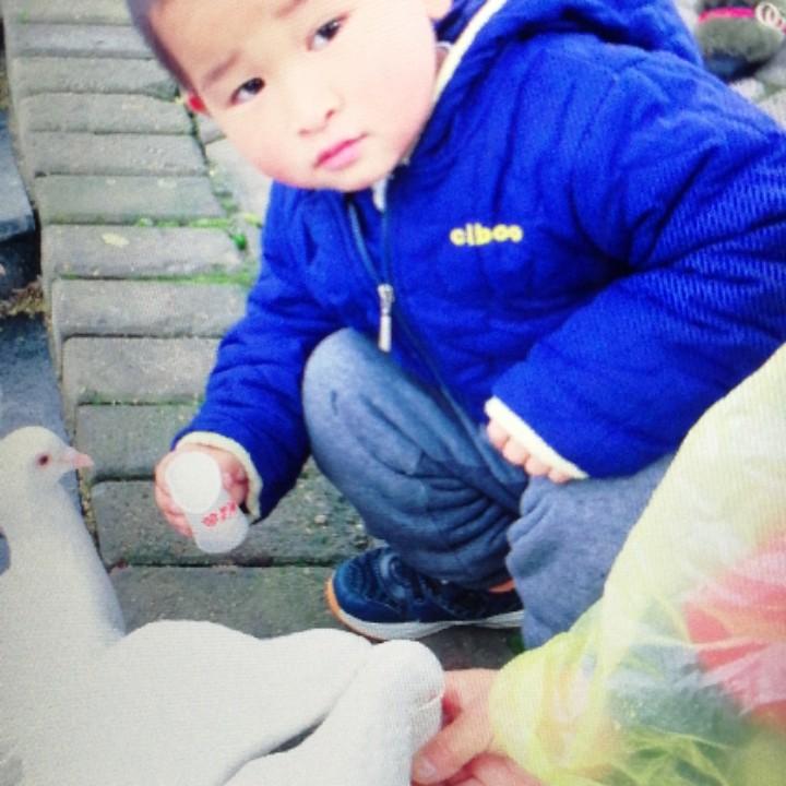 江磊