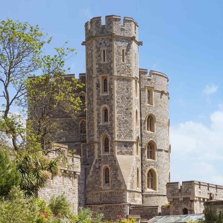 猫🐱和老鼠🐭