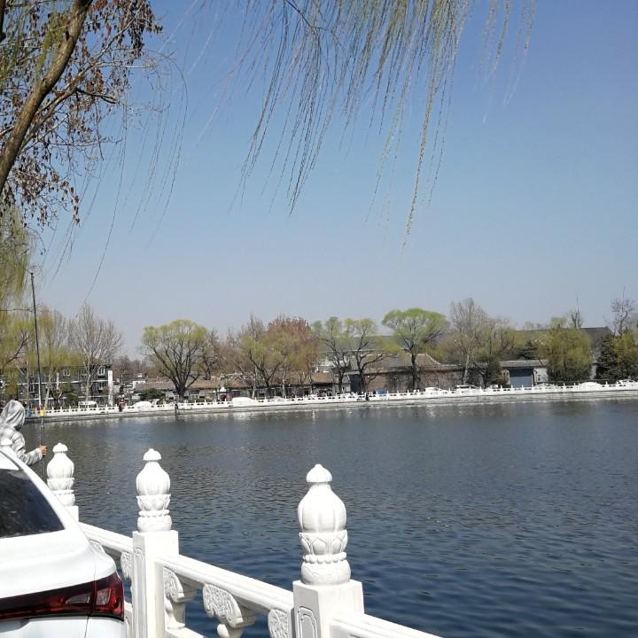 雁