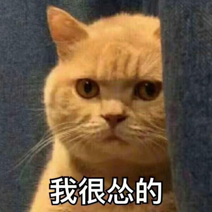 我的三分钟热度