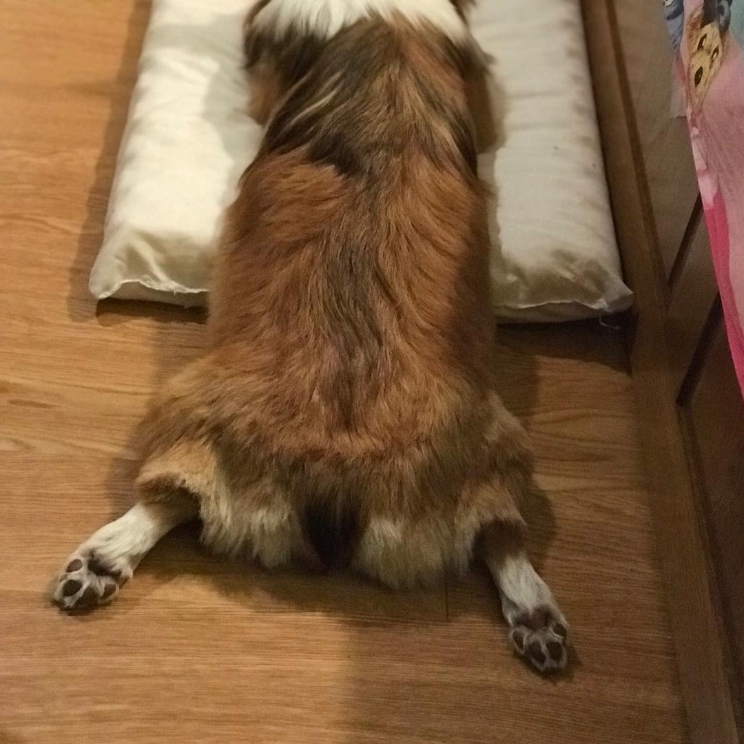 赤脚建筑师
