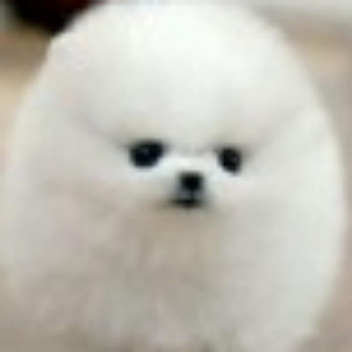 风溪觅