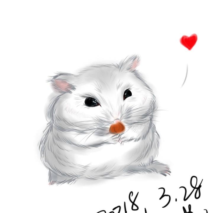 离狸