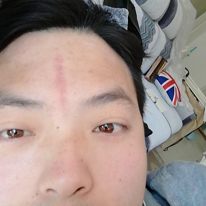 喵了个咪
