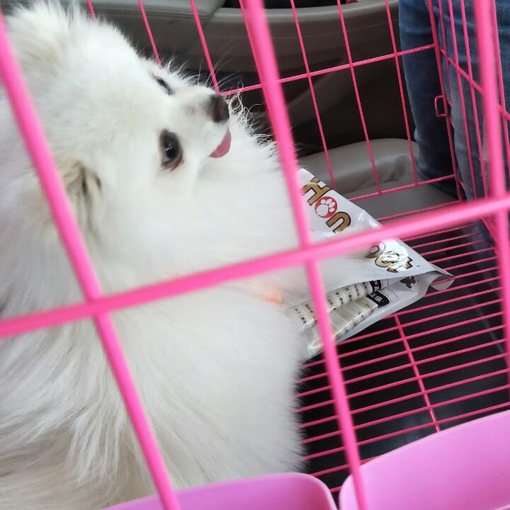 梦幻