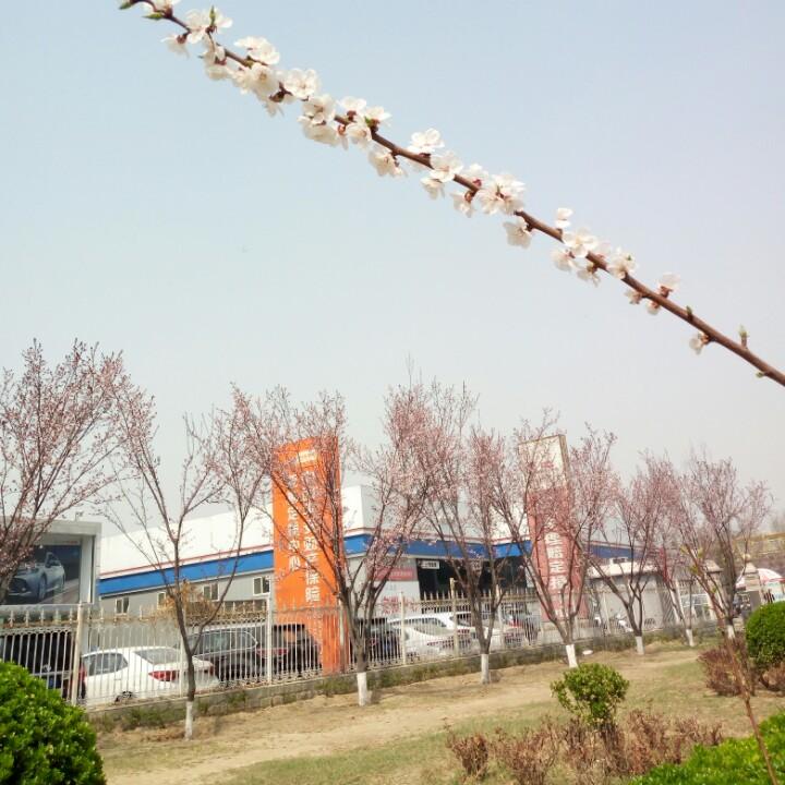 乐友通州店
